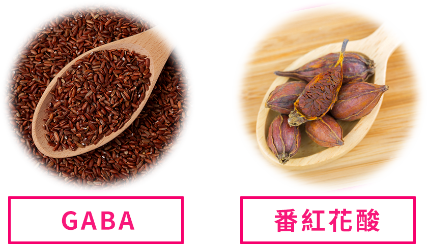 GABA，番紅花酸