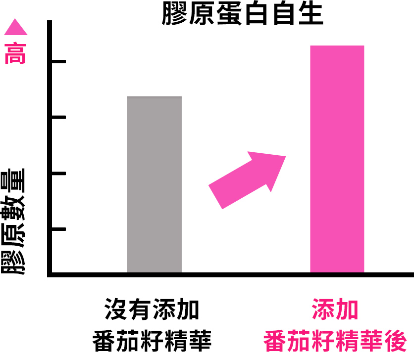 提升膠原蛋白自生